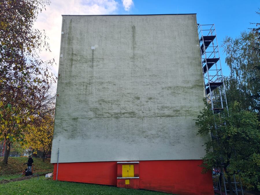 Pred čistením